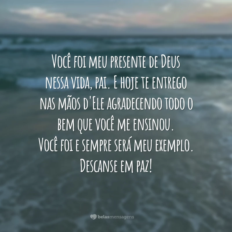 Você foi meu presente de Deus nessa vida, pai. E hoje te entrego nas mãos d'Ele agradecendo todo o bem que você me ensinou. Você foi e sempre será meu exemplo. Descanse em paz!