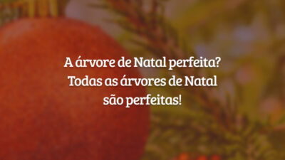 A árvore de Natal perfeita? Todas as árvores de Natal são perfeitas!