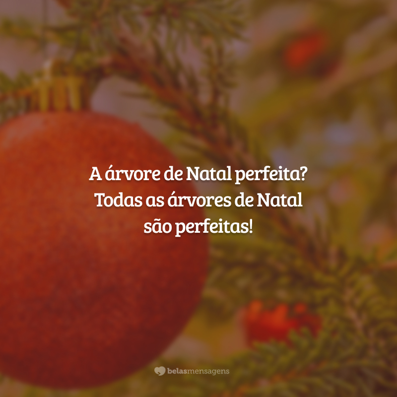 A árvore de Natal perfeita? Todas as árvores de Natal são perfeitas!