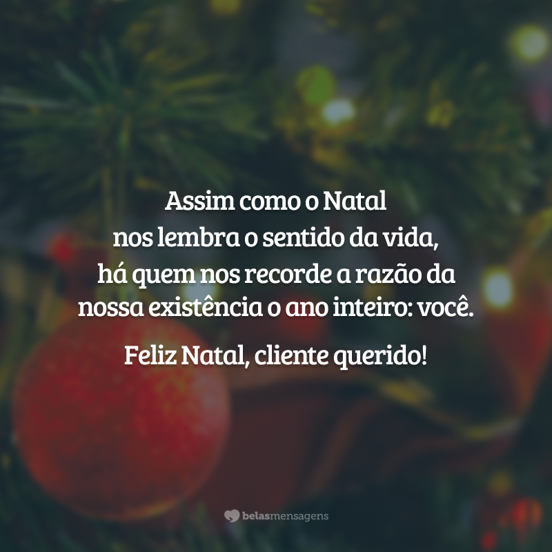 Assim como o Natal nos lembra o sentido da vida, há quem nos recorde a razão da nossa existência o ano inteiro: você. Feliz Natal, cliente querido!