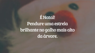 É Natal! Pendure uma estrela brilhante no galho mais alto da árvore.