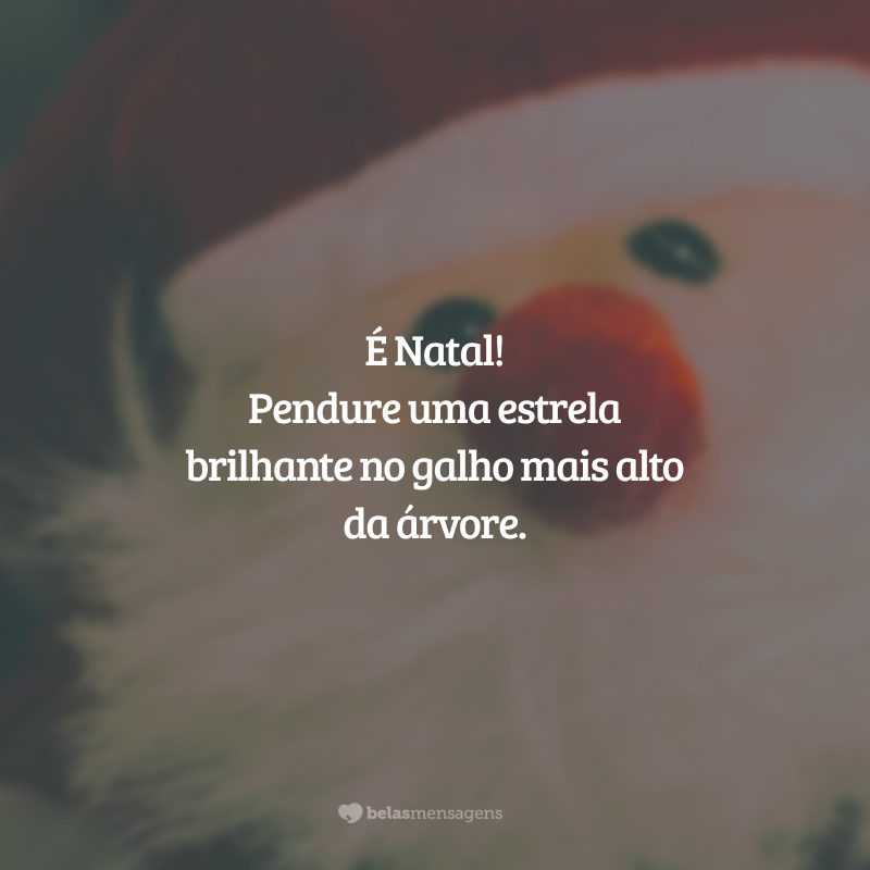 É Natal! Pendure uma estrela brilhante no galho mais alto da árvore.