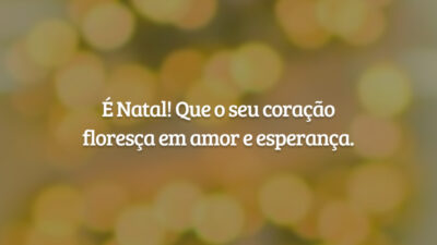 É Natal! Que o seu coração floresça em amor e esperança.