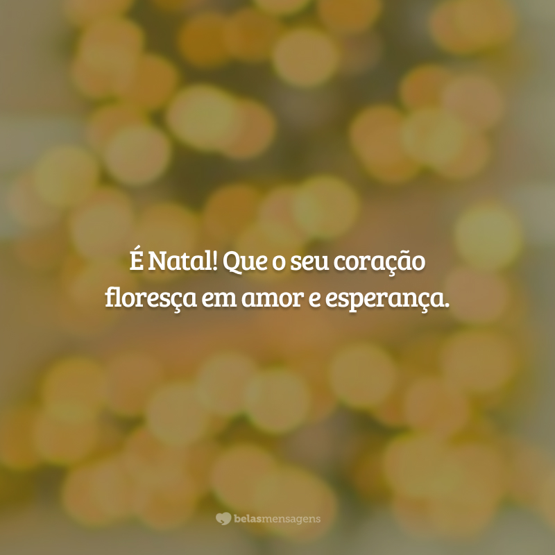 É Natal! Que o seu coração floresça em amor e esperança.