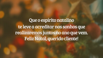 Que o espírito natalino te leve a acreditar nos sonhos que realizaremos juntos no ano que vem. Feliz Natal, querido cliente!