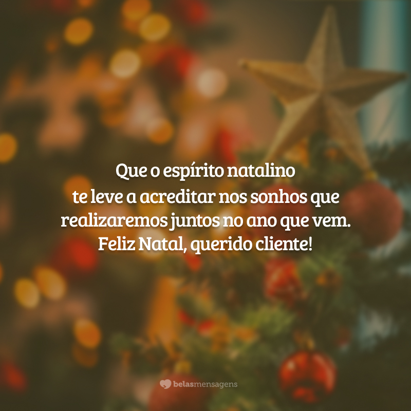 Que o espírito natalino te leve a acreditar nos sonhos que realizaremos juntos no ano que vem. Feliz Natal, querido cliente!