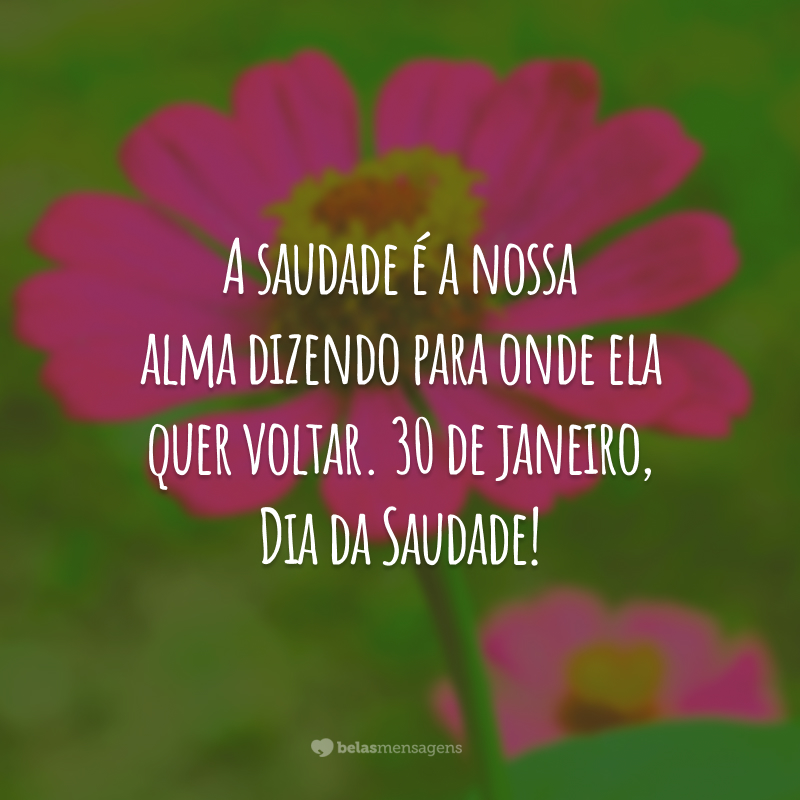 A saudade é a nossa alma dizendo para onde ela quer voltar. 30 de janeiro, Dia da Saudade!