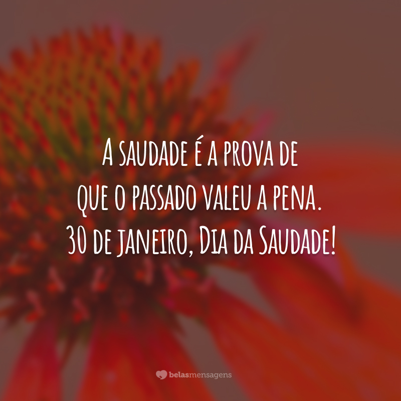 A saudade é a prova de que o passado valeu a pena. 30 de janeiro, Dia da Saudade!