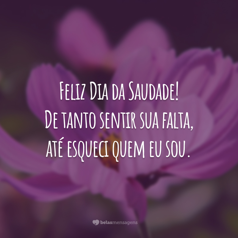 Feliz Dia da Saudade! De tanto sentir sua falta, até esqueci quem eu sou.