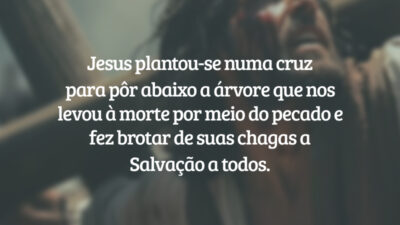 Jesus plantou-se numa cruz para pôr abaixo a árvore que nos levou à morte por meio do pecado e fez brotar de suas chagas a Salvação a todos.