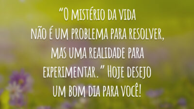 “O mistério da vida não é um problema para resolver, mas uma realidade para experimentar.” Hoje desejo um bom dia para você!