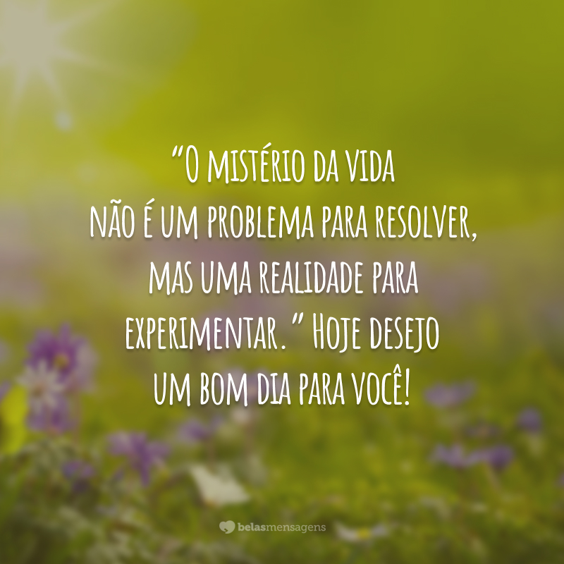 “O mistério da vida não é um problema para resolver, mas uma realidade para experimentar.” Hoje desejo um bom dia para você!