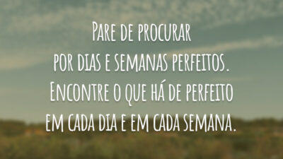 Pare de procurar por dias e semanas perfeitos. Encontre o que há de perfeito em cada dia e em cada semana.