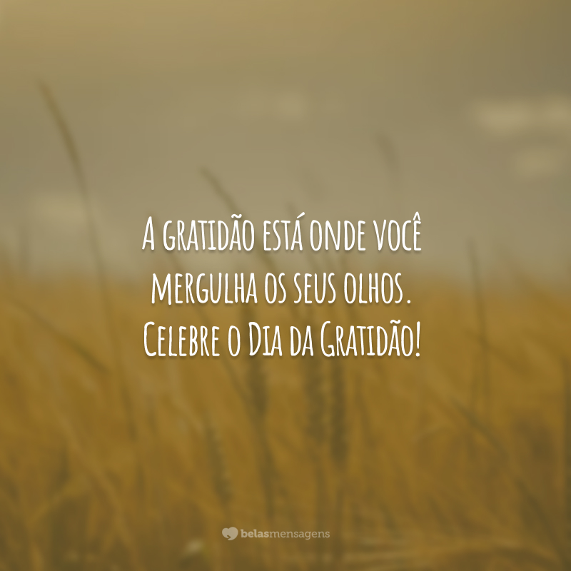 A gratidão está onde você mergulha os seus olhos. Celebre o Dia da Gratidão!