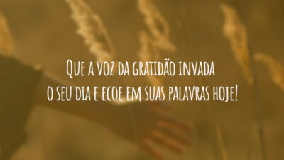 Que a voz da gratidão invada o seu dia e ecoe em suas palavras hoje!