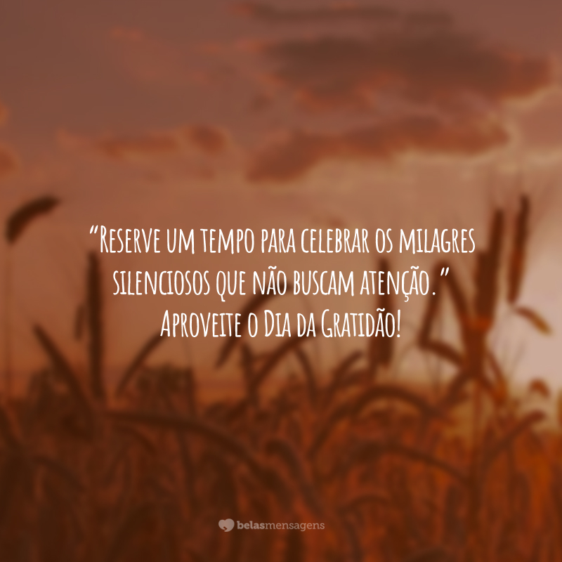 “Reserve um tempo para celebrar os milagres silenciosos que não buscam atenção.” Aproveite o Dia da Gratidão!