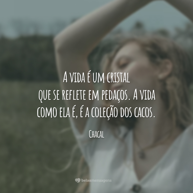 A vida é um cristal que se reflete em pedaços. A vida como ela é, é a coleção dos cacos.