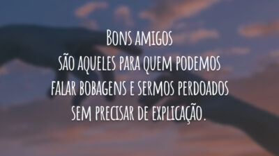 Bons amigos são aqueles para quem podemos falar bobagens e sermos perdoados sem precisar de explicação.