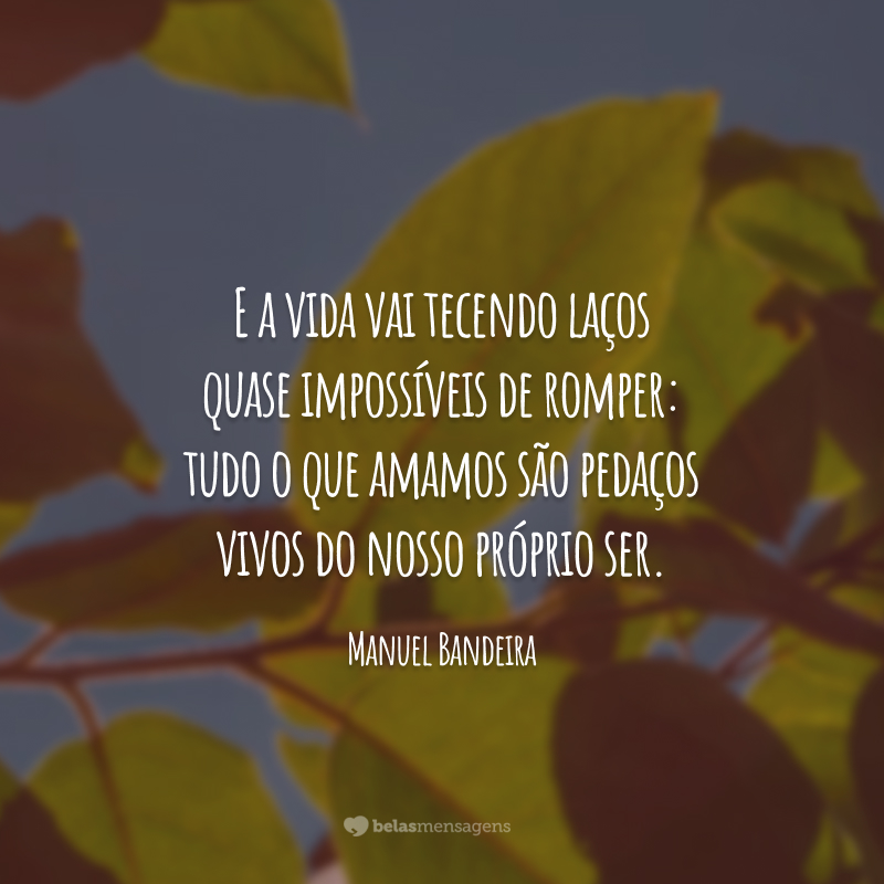 E a vida vai tecendo laços quase impossíveis de romper: tudo o que amamos são pedaços vivos do nosso próprio ser.