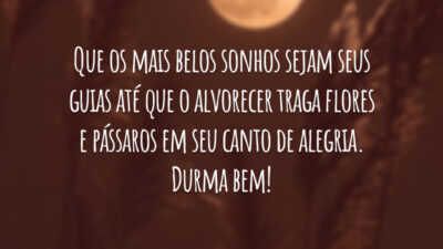 Que os mais belos sonhos sejam seus guias até que o alvorecer traga flores e pássaros em seu canto de alegria. Durma bem!