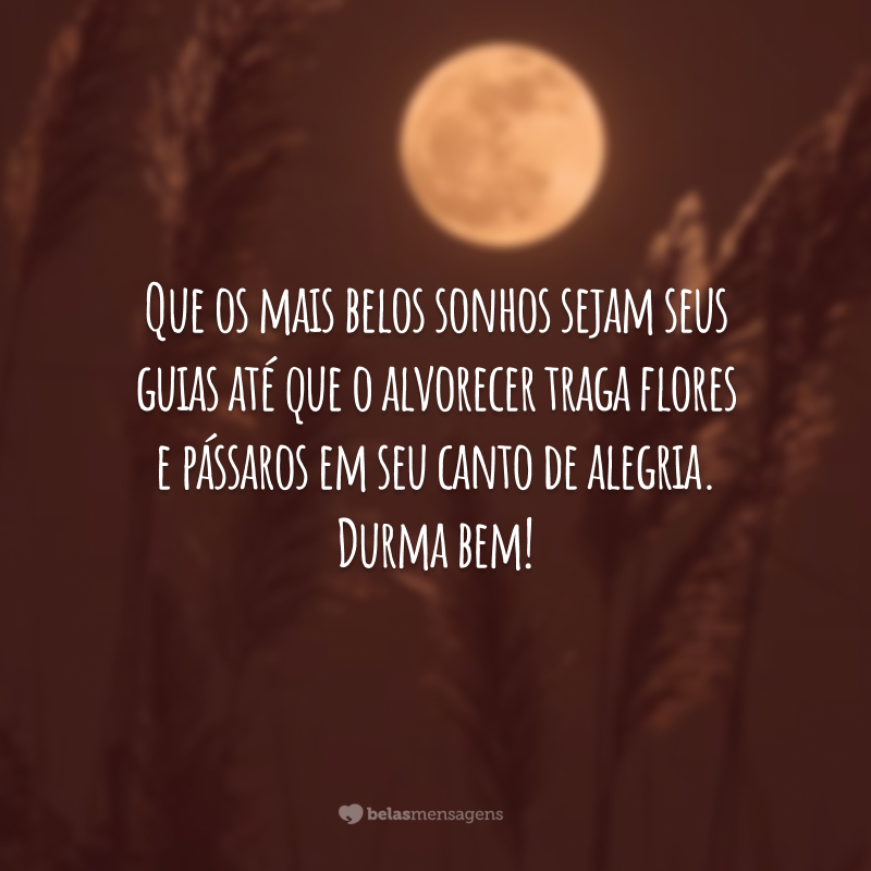 Que os mais belos sonhos sejam seus guias até que o alvorecer traga flores e pássaros em seu canto de alegria. Durma bem!