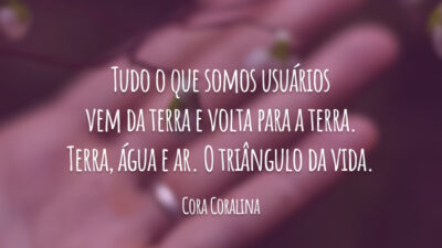 Tudo o que somos usuários vem da terra e volta para a terra. Terra, água e ar. O triângulo da vida.