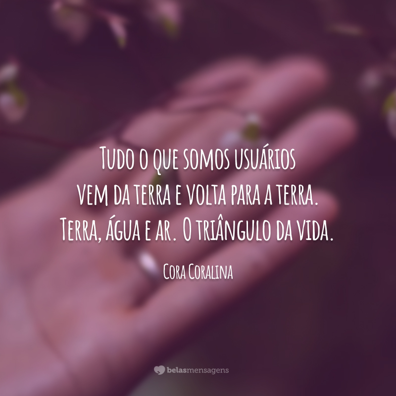 Tudo o que somos usuários vem da terra e volta para a terra. Terra, água e ar. O triângulo da vida.