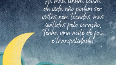 As mais lindas coisas da vida não podem ser vistas nem tocadas,&hellip;