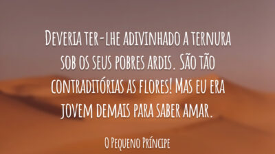 Deveria ter-lhe adivinhado a ternura sob os seus pobres ardis. São tão contraditórias as flores! Mas eu era jovem demais para saber amar.
