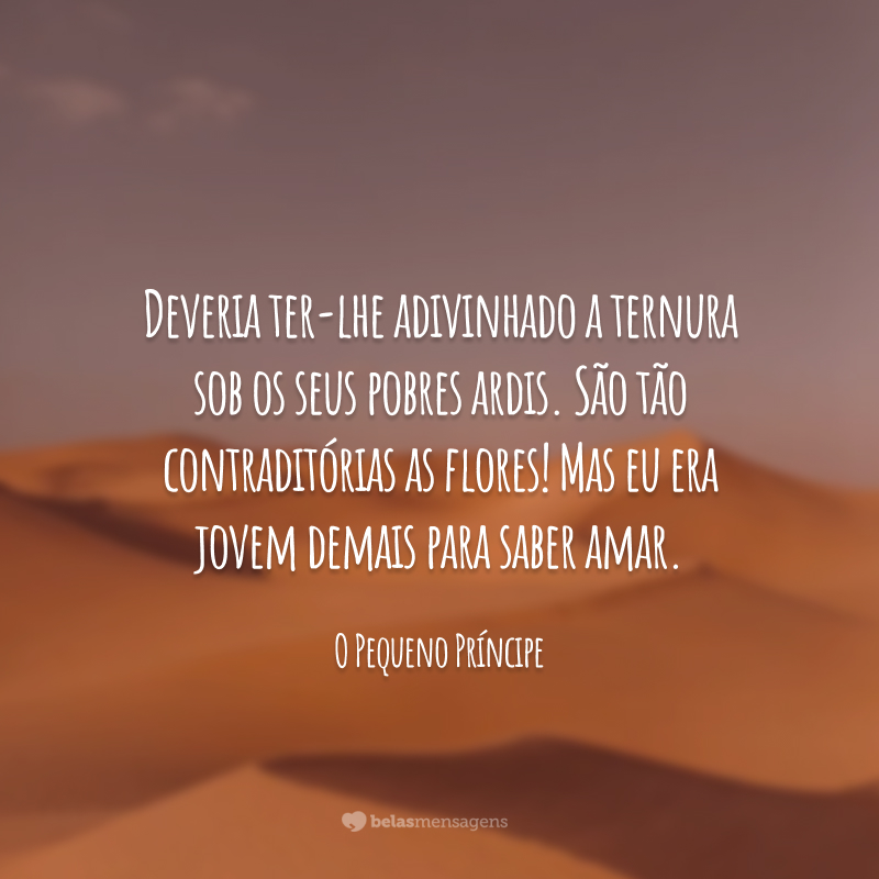 Deveria ter-lhe adivinhado a ternura sob os seus pobres ardis. São tão contraditórias as flores! Mas eu era jovem demais para saber amar.