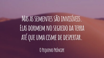Mas as sementes são invisíveis. Elas dormem no segredo da terra até que uma cisme de despertar.