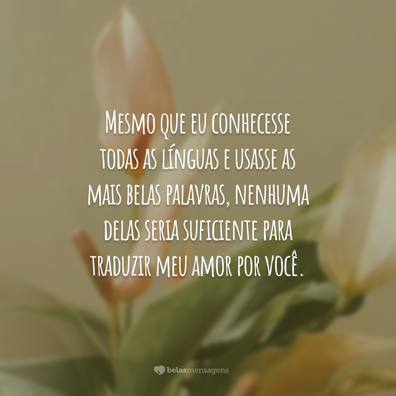 Mesmo que eu conhecesse todas as línguas e usasse as mais belas palavras, nenhuma delas seria suficiente para traduzir meu amor por você.