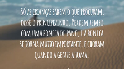 Só as crianças sabem o que procuram, disse o principezinho. Perdem tempo com uma boneca de pano, e a boneca se torna muito importante, e choram quando a gente a toma.