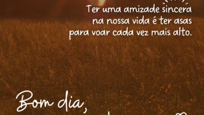 Bom dia, amigos!