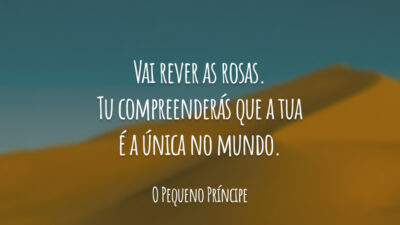Vai rever as rosas. Tu compreenderás que a tua é a única no mundo.