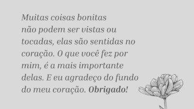 Muitas coisas bonitas