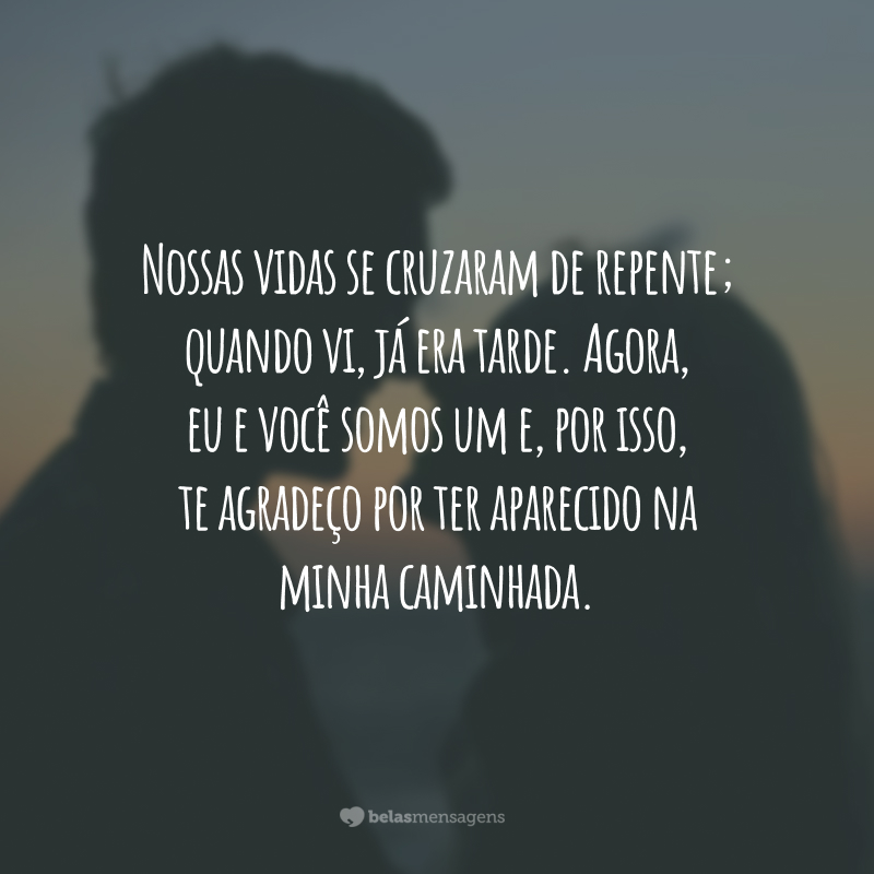 Nossas vidas se cruzaram de repente; quando vi, já era tarde. Agora, eu e você somos um e, por isso, te agradeço por ter aparecido na minha caminhada.