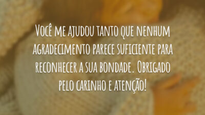 Você me ajudou tanto que nenhum agradecimento parece suficiente para reconhecer a sua bondade. Obrigado pelo carinho e atenção!