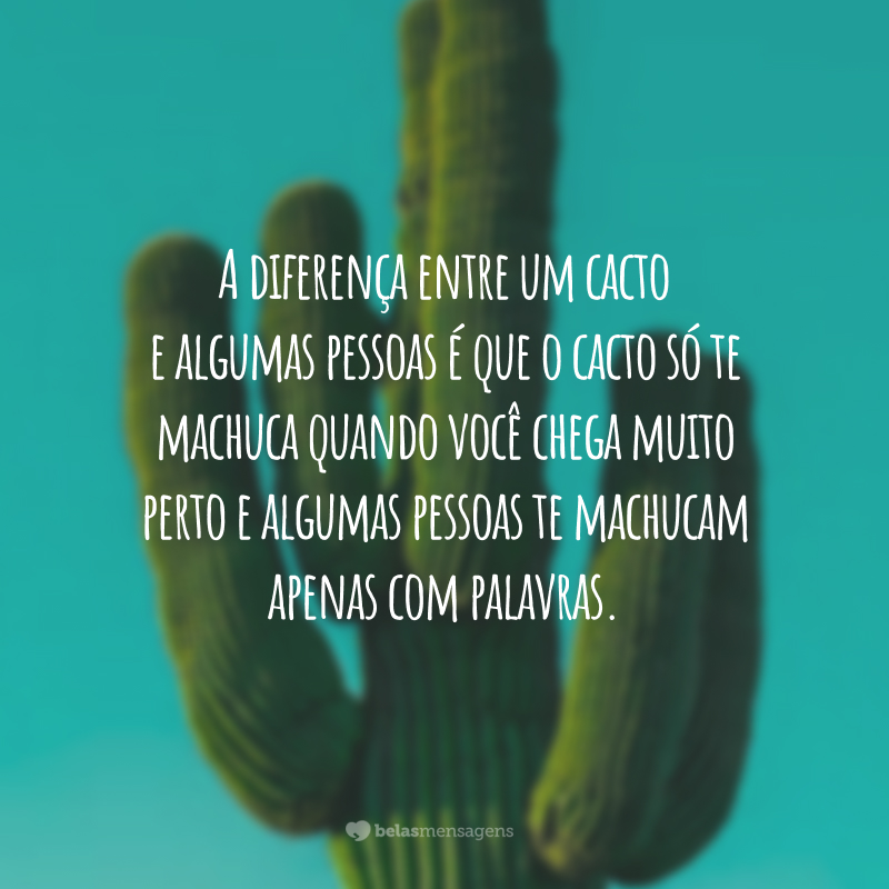 A diferença entre um cacto e algumas pessoas é que o cacto só te machuca quando você chega muito perto e algumas pessoas te machucam apenas com palavras.