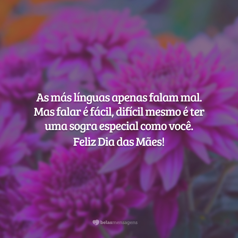 As más línguas apenas falam mal. Mas falar é fácil, difícil mesmo é ter uma sogra especial como você. Feliz Dia das Mães!