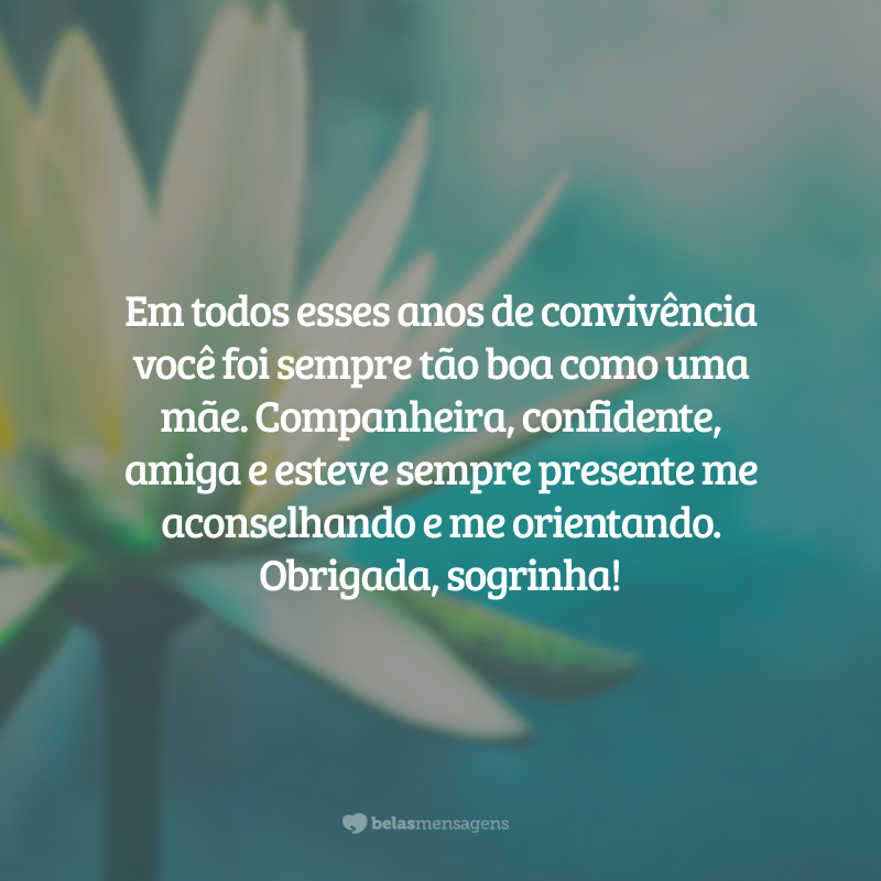 Em todos esses anos de convivência você foi sempre tão boa como uma mãe. Companheira, confidente, amiga e esteve sempre presente me aconselhando e me orientando. Obrigada, sogrinha!