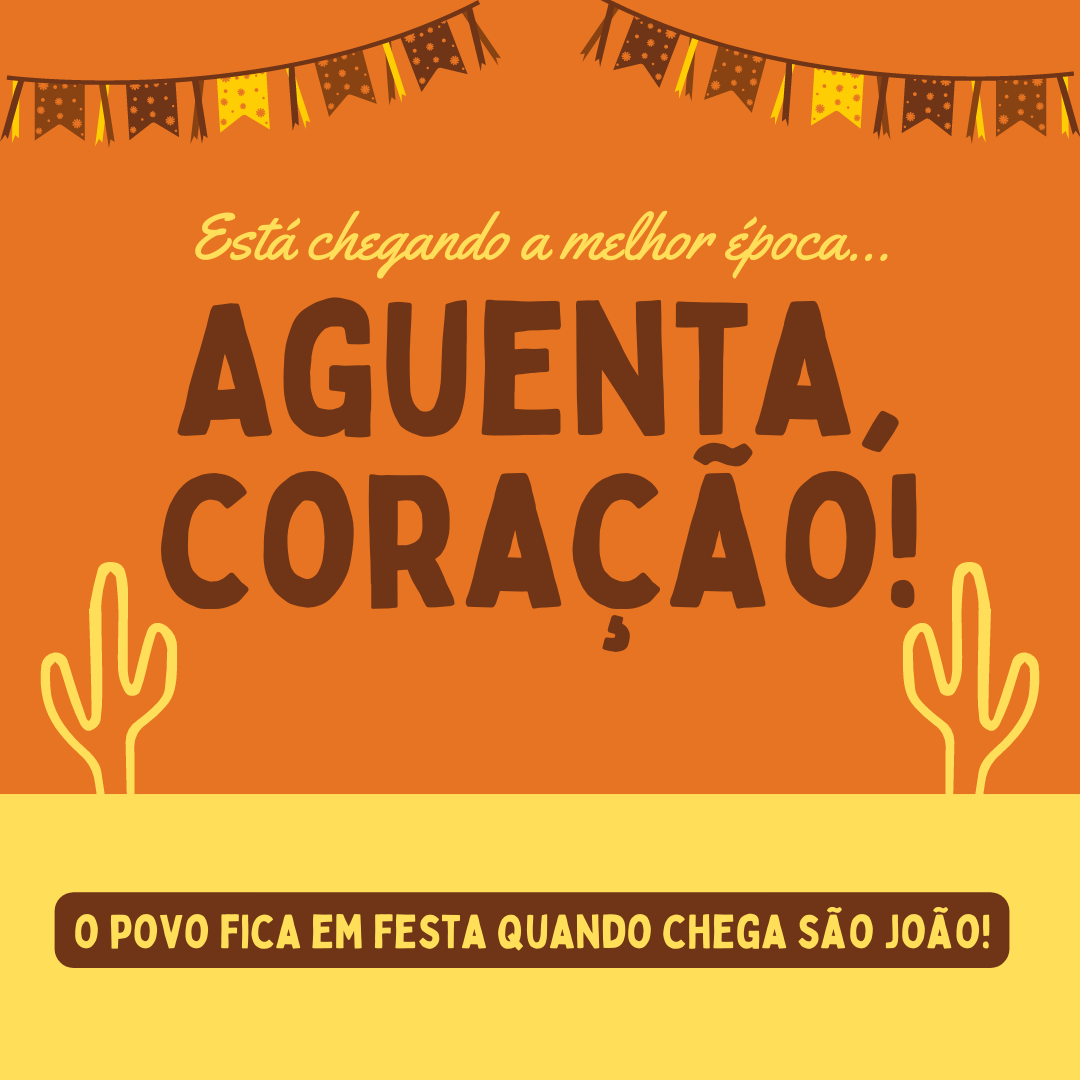 Está chegando a melhor época... Aguenta, coração! O povo fica em festa, quando começa o São João!