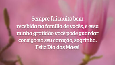 Sempre fui muito bem recebida na família de vocês, e essa minha gratidão você pode guardar consigo no seu coração, sogrinha. Feliz Dia das Mães!
