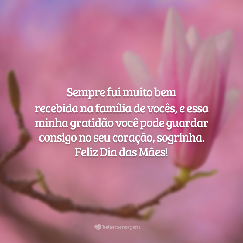 Sempre fui muito bem recebida na família de vocês, e essa minha gratidão você pode guardar consigo no seu coração, sogrinha. Feliz Dia das Mães!