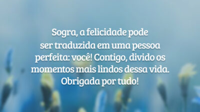 Sogra, a felicidade pode ser traduzida em uma pessoa perfeita: você! Contigo, divido os momentos mais lindos dessa vida. Obrigada por tudo!