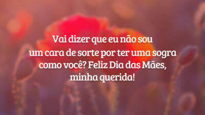 Vai dizer que eu não sou um cara de sorte por ter uma sogra como você? Feliz Dia das Mães, minha querida!
