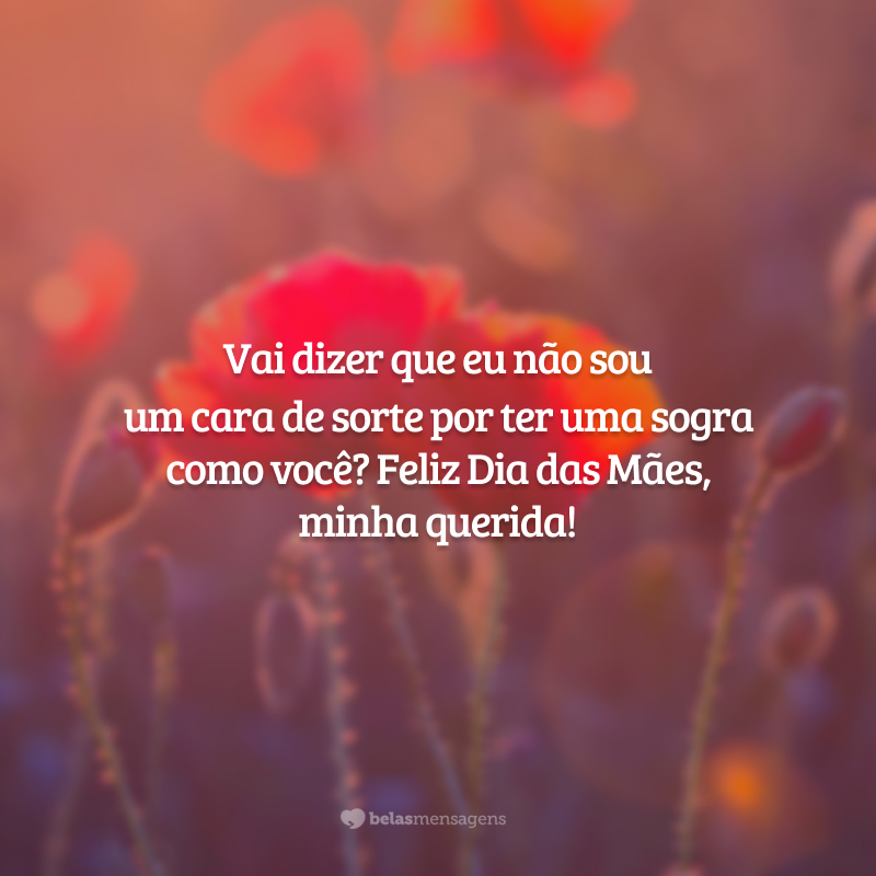 Vai dizer que eu não sou um cara de sorte por ter uma sogra como você? Feliz Dia das Mães, minha querida!