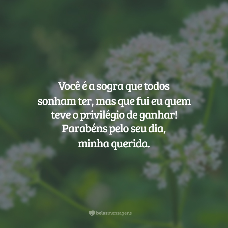 Você é a sogra que todos sonham ter, mas que fui eu quem teve o privilégio de ganhar! Parabéns pelo seu dia, minha querida.