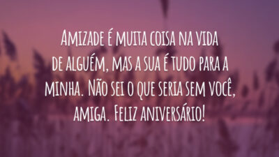 Amizade é muita coisa na vida de alguém, mas a sua é tudo para a minha. Não sei o que seria sem você, amiga. Feliz aniversário!