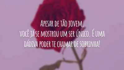Apesar de tão jovem, você já se mostrou um ser único. É uma dádiva poder te chamar de sobrinha!